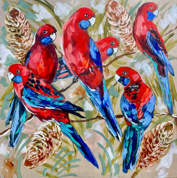 Crimson Rosella and banksia - art print