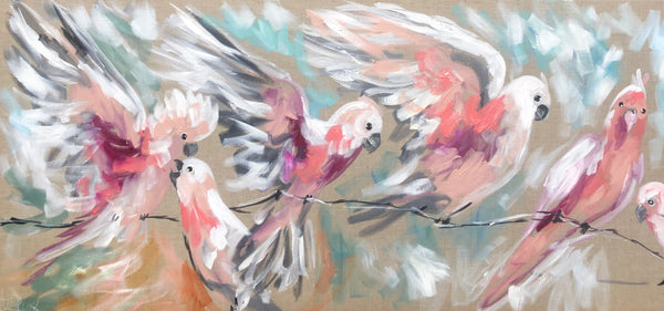 Blush galah  - art print