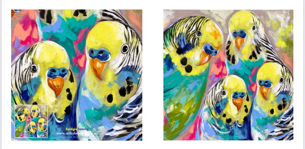 Budgie family