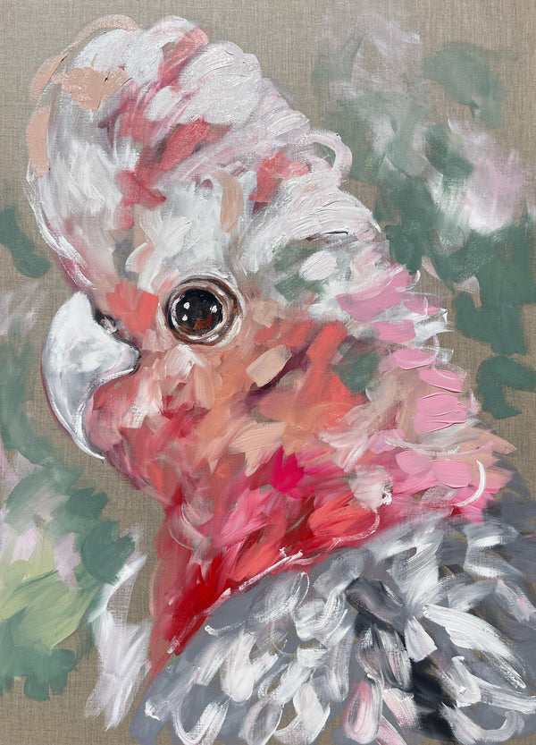Blush galah - art print