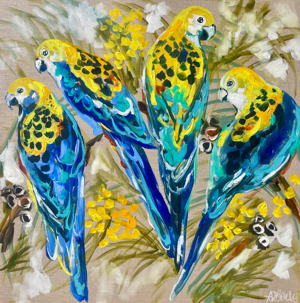 Golden wattle and Rosella  - art print