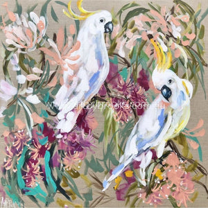 Australian Cockatoo And Gum Blossom - Art Print Art