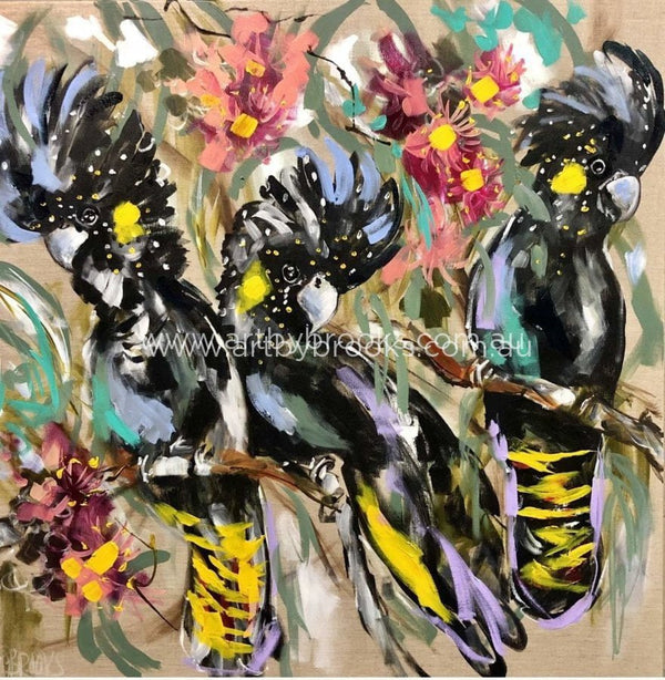 Black Cockatoo And Flowering Gum - Art Print Art