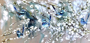 Blue Wrens And Cherry Blossoms - Art Print Art