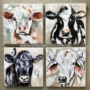 Country Cows Set ( 4) Coasters
