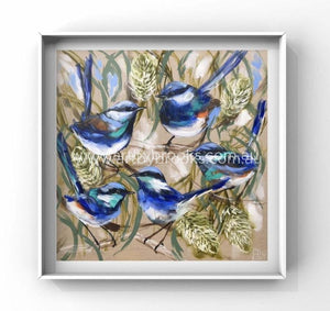 Silver Banksia And Blue Wrens -Art Print Art