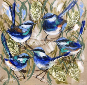 Silver Banksia And Blue Wrens -Art Print Art