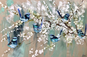 Splendid Wrens And Cherry Blossoms - Art Print Art Prints